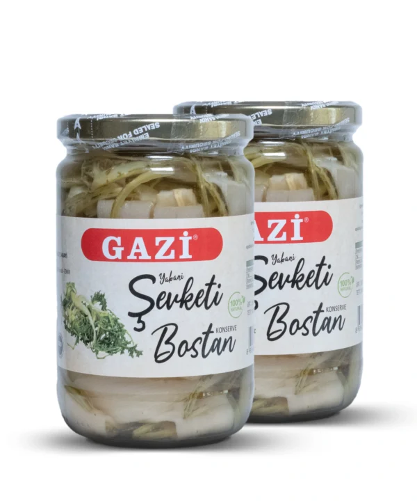 Şevketi Bostan 2'li